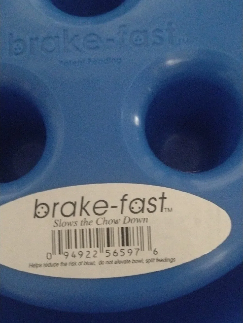 Slow-Feed Brake Fast Dog Bowl - Blue